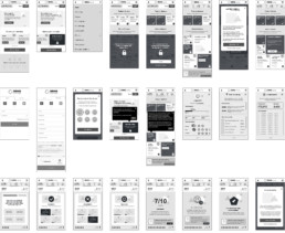 Wireframes